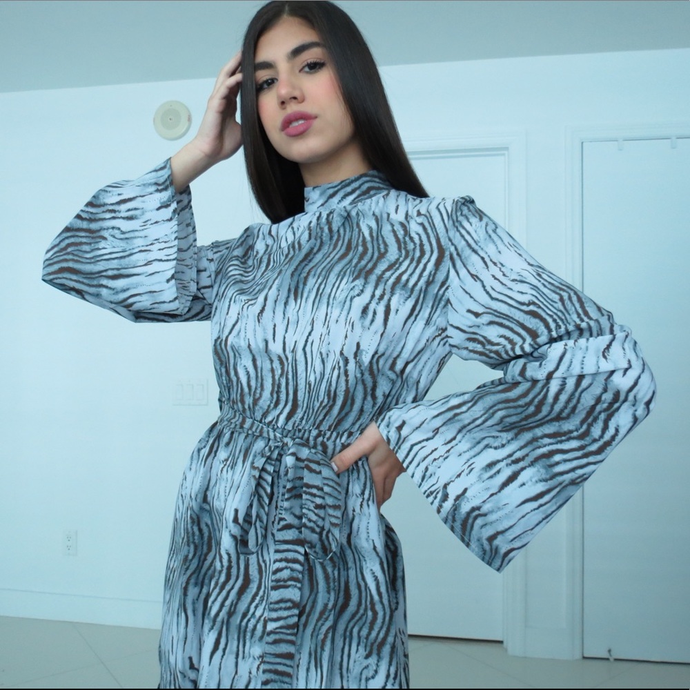 Long Sleeved Zebra Print Dress
